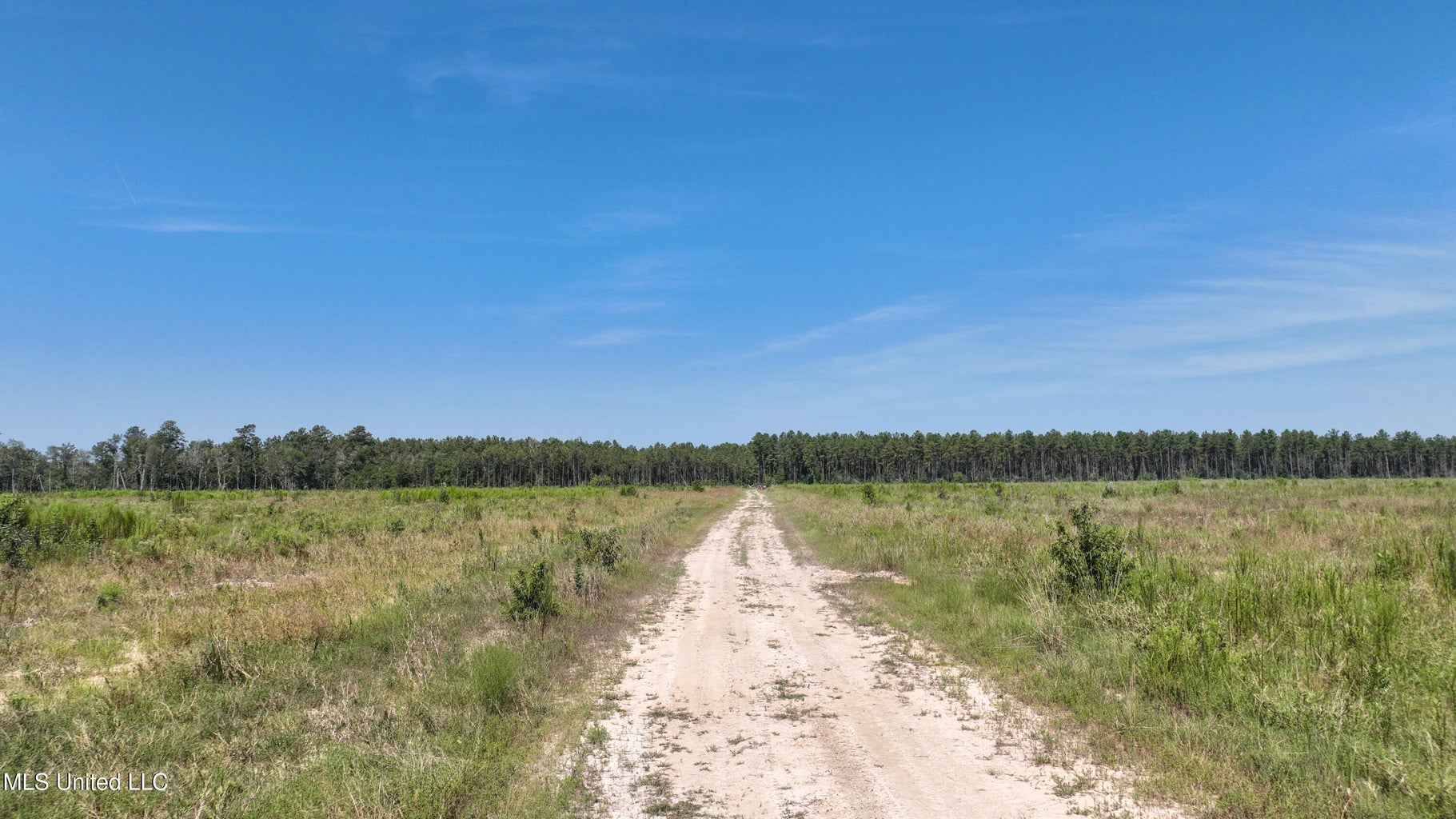 Land for Sale in Tangipahoa Parish, LA.