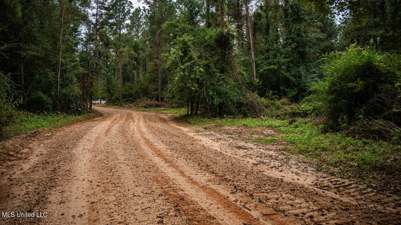 Ramsey Creek 67 Acres for Sale in Centreville, MS