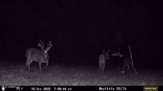 113 Acres Hunting Land with Home in Amite County, MS