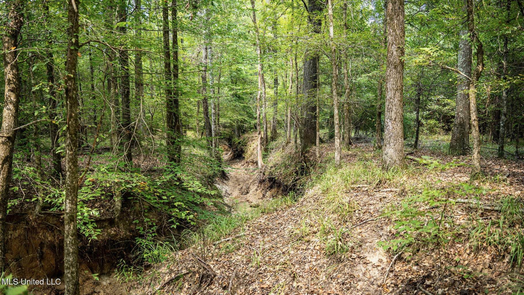 302 Acres in Hermanville, Claiborne County, MS Land