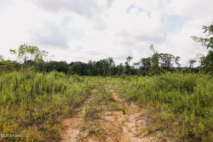 Land for Sale in Lincoln County, MS