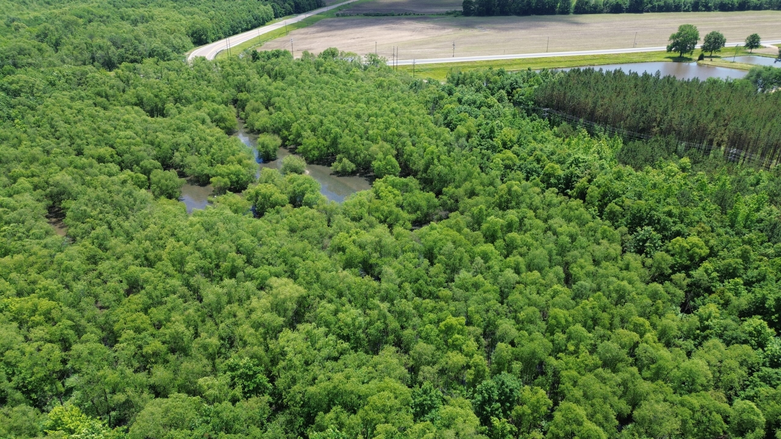 17 ACRES, WOODED, BUILDING SITE, CRP, HUNTING