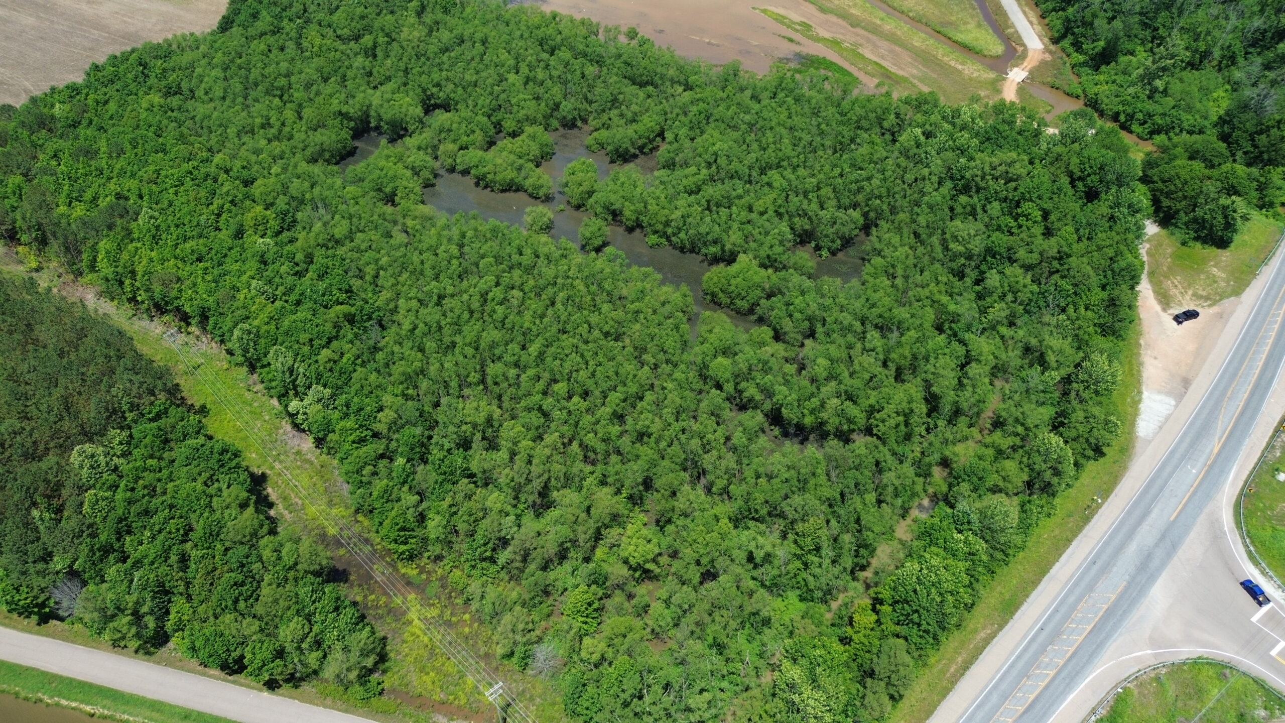 17 ACRES, WOODED, BUILDING SITE, CRP, HUNTING