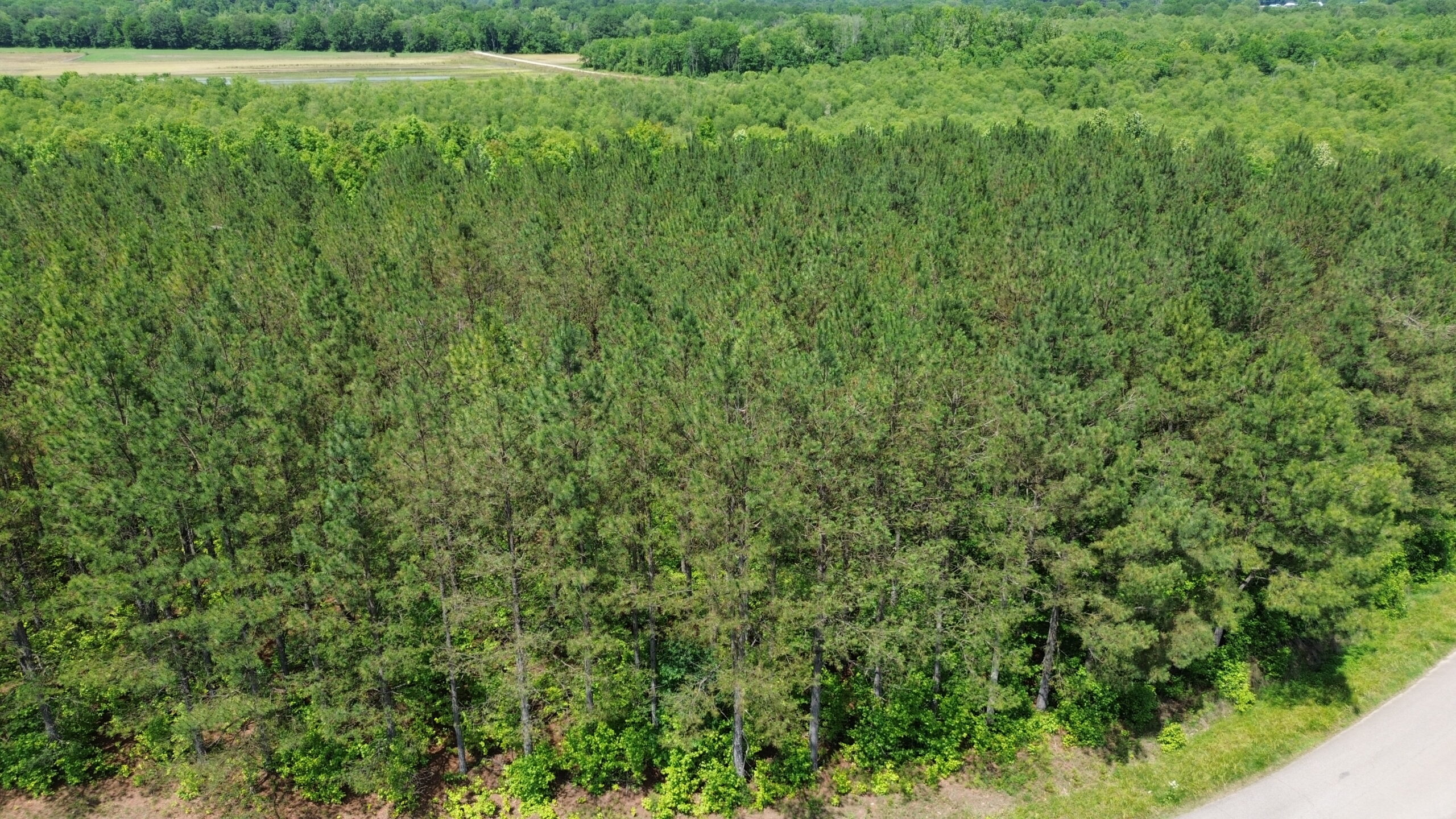 17 ACRES, WOODED, BUILDING SITE, CRP, HUNTING