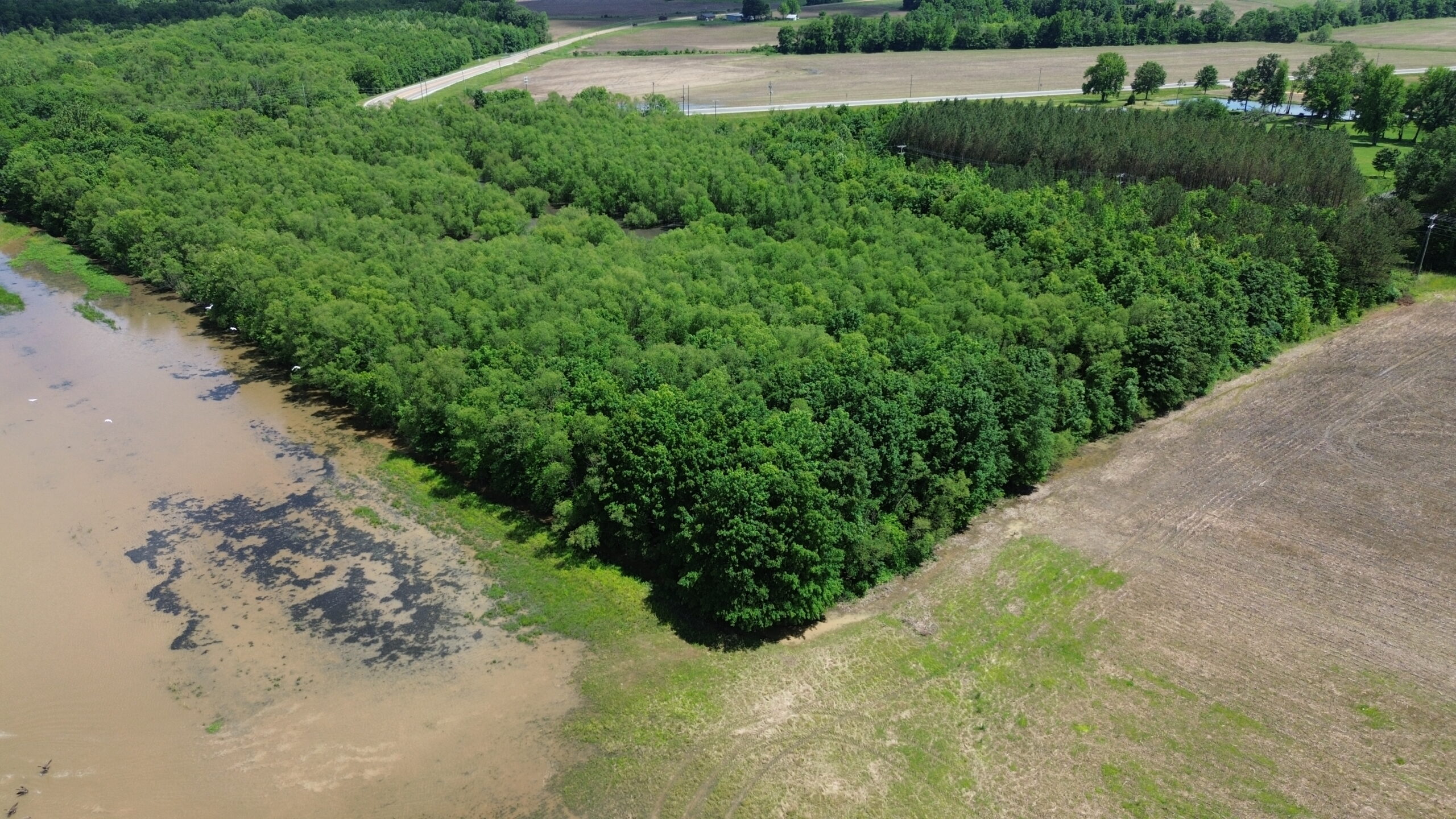 17 ACRES, WOODED, BUILDING SITE, CRP, HUNTING