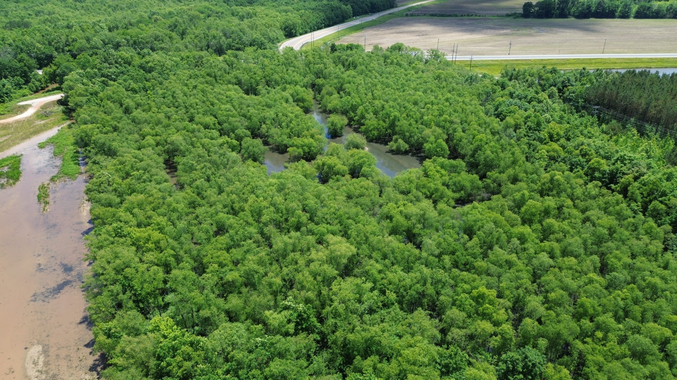 17 ACRES, WOODED, BUILDING SITE, CRP, HUNTING