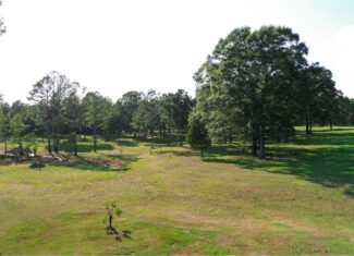 Multi-Use Land for Sale NE Lincoln Parish