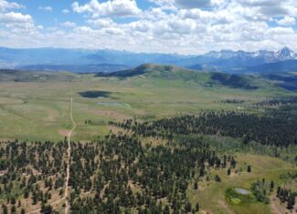 161 Acres San Juan Mountain Land for Sale in Placerville, CO