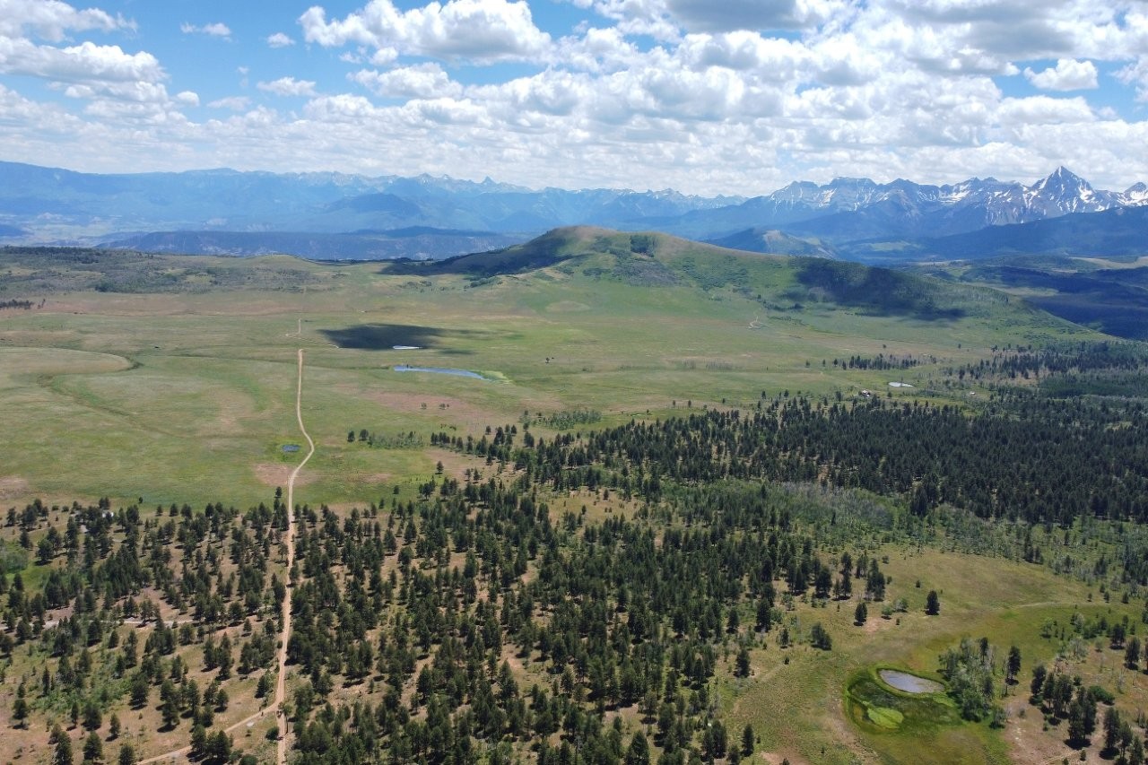161 Acres San Juan Mountain Land for Sale in Placerville, CO