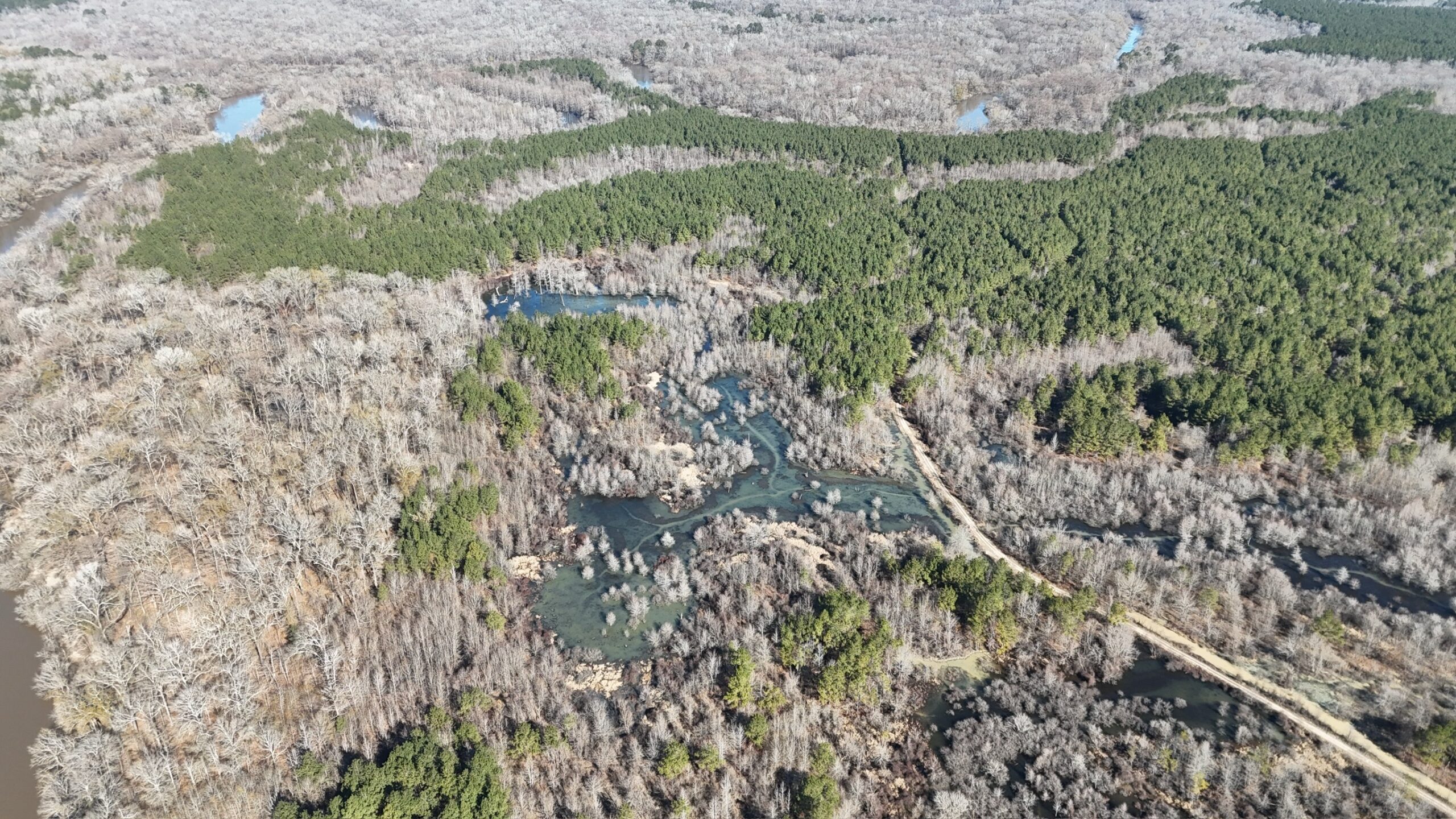 Duck, Deer, and Fishing Land for Sale on Little River