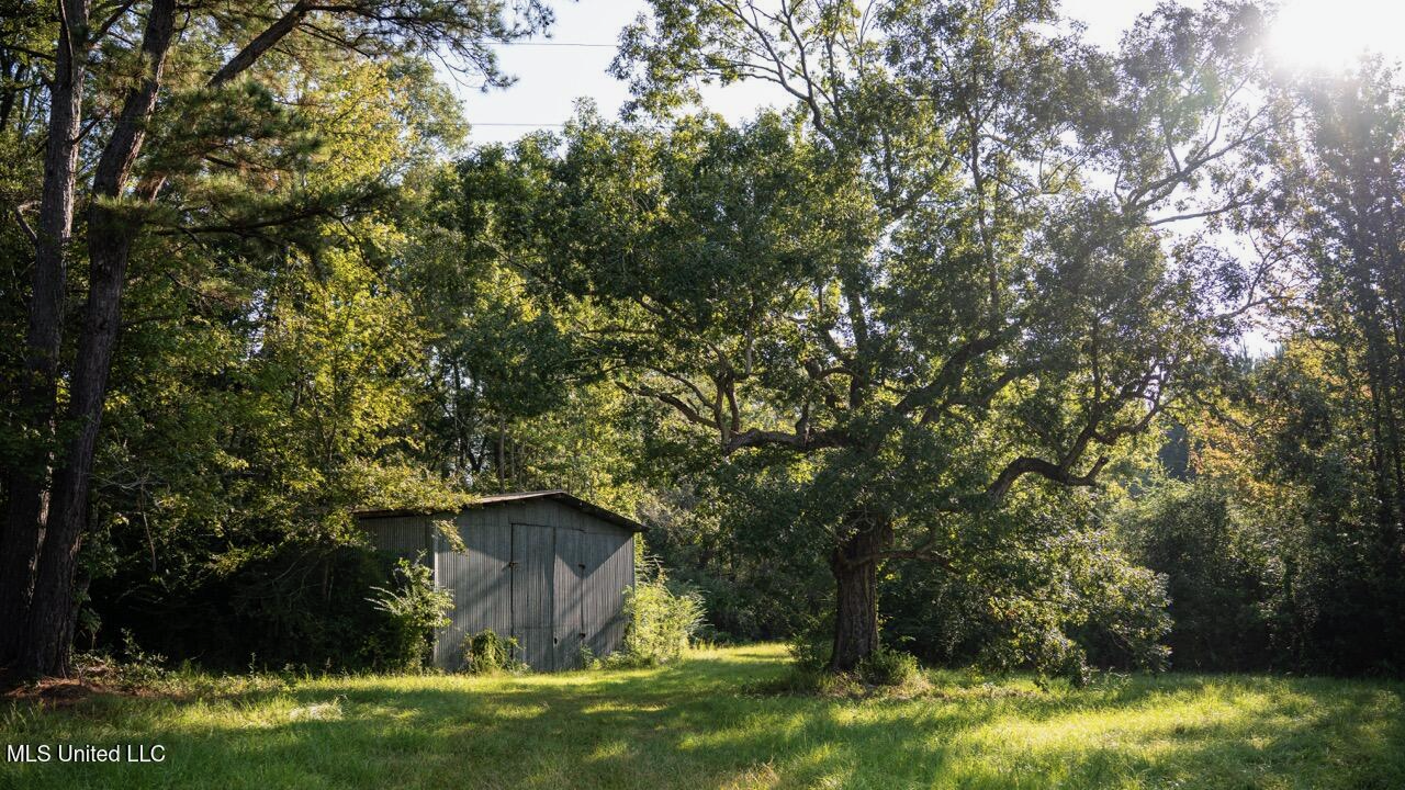 Cotton Creek 169 Acres for Sale in Amite County, MS