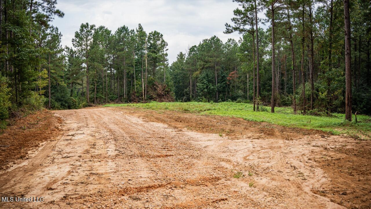 Ramsey Creek 67 Acres for Sale in Centreville, MS