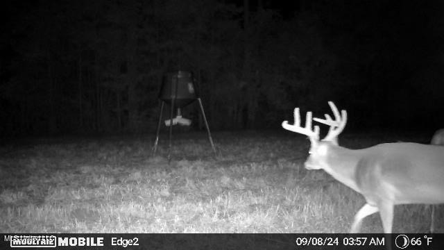 113 Acres Hunting Land with Home in Amite County, MS