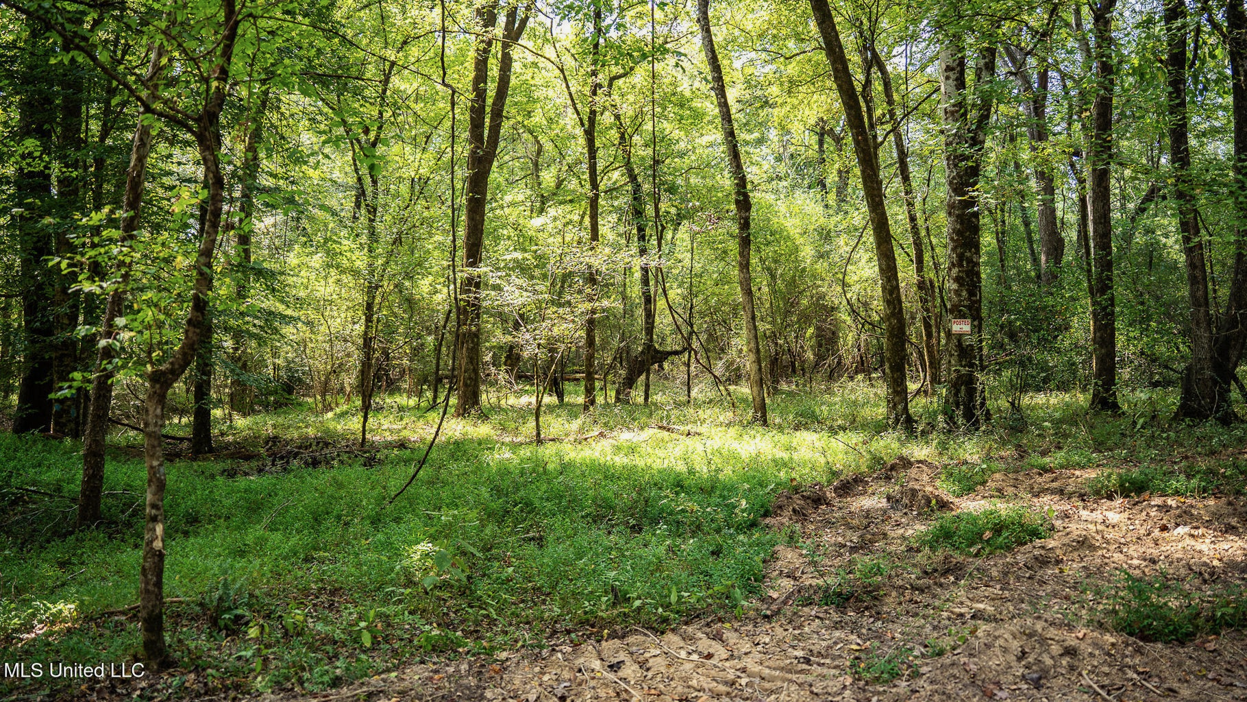 302 Acres in Hermanville, Claiborne County, MS Land