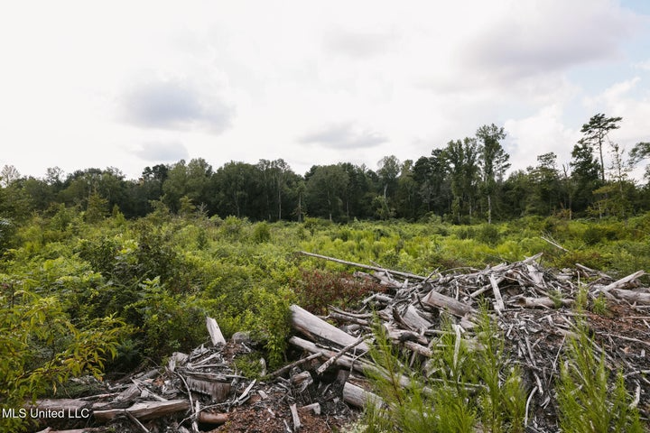 Land for Sale in Lincoln County, MS