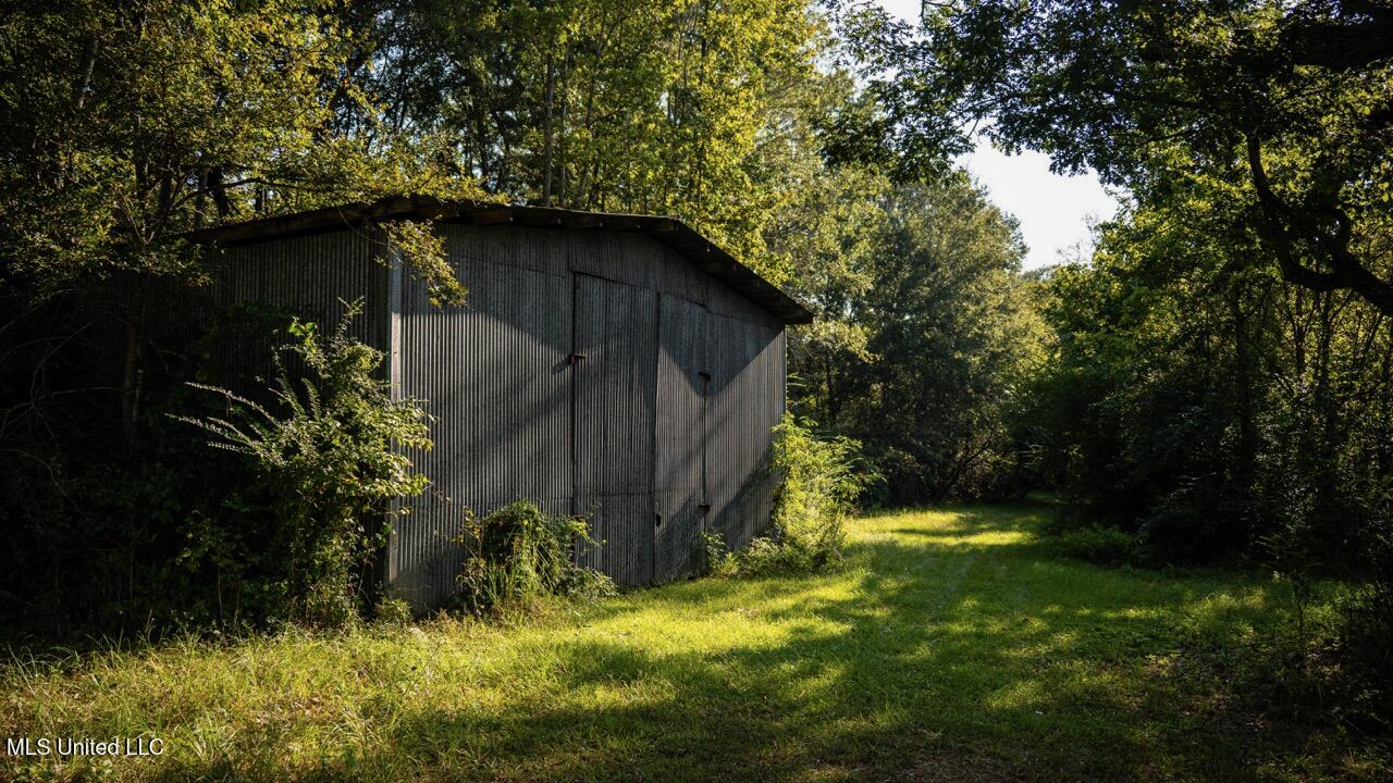 Cotton Creek 169 Acres for Sale in Amite County, MS