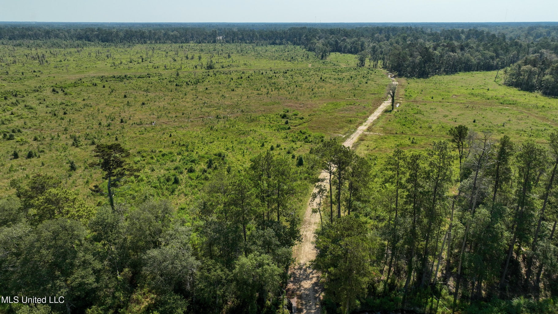 Land for Sale in Tangipahoa Parish, LA.