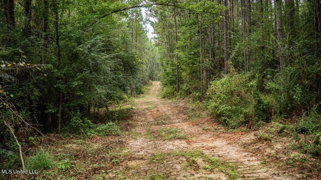 Ramsey Creek 67 Acres for Sale in Centreville, MS