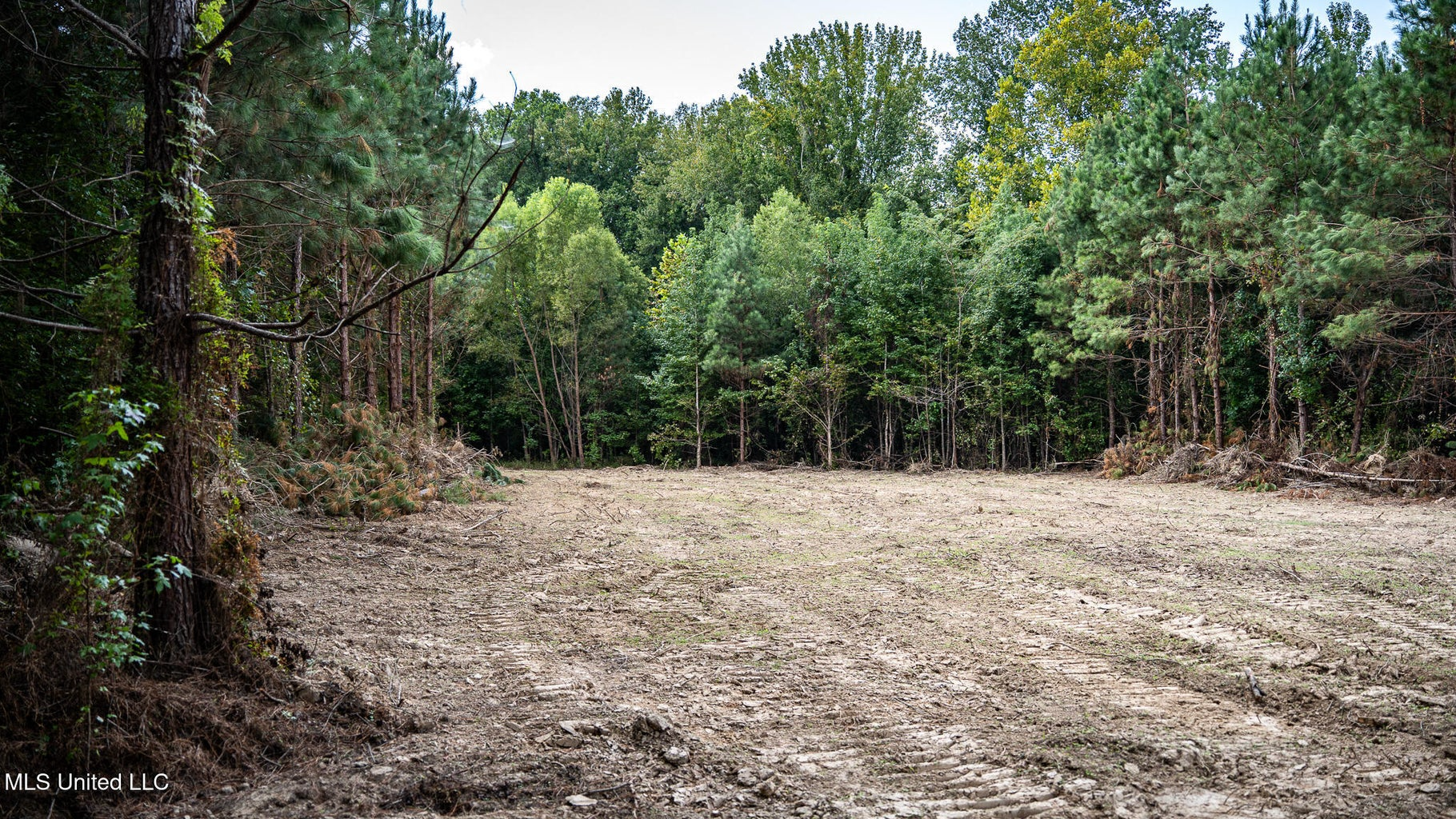302 Acres in Hermanville, Claiborne County, MS Land