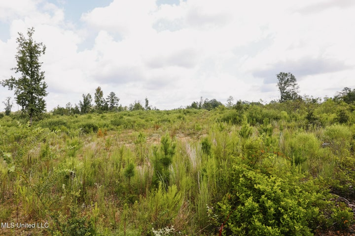 Land for Sale in Lincoln County, MS