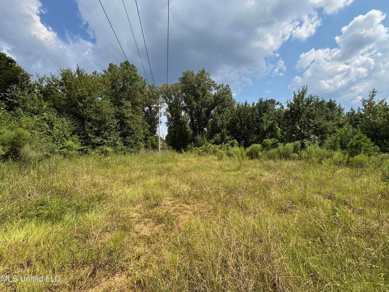 88 Acres for Sale in Hinds County Jackson, MS