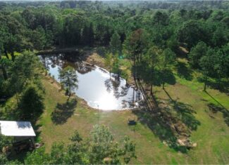 Multi-Use Land for Sale NE Lincoln Parish