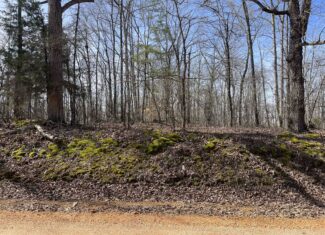 LAND FOR SALE IN HARDIN COUNTY TN, 11 ACRES