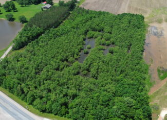 17 ACRES, WOODED, BUILDING SITE, CRP, HUNTING