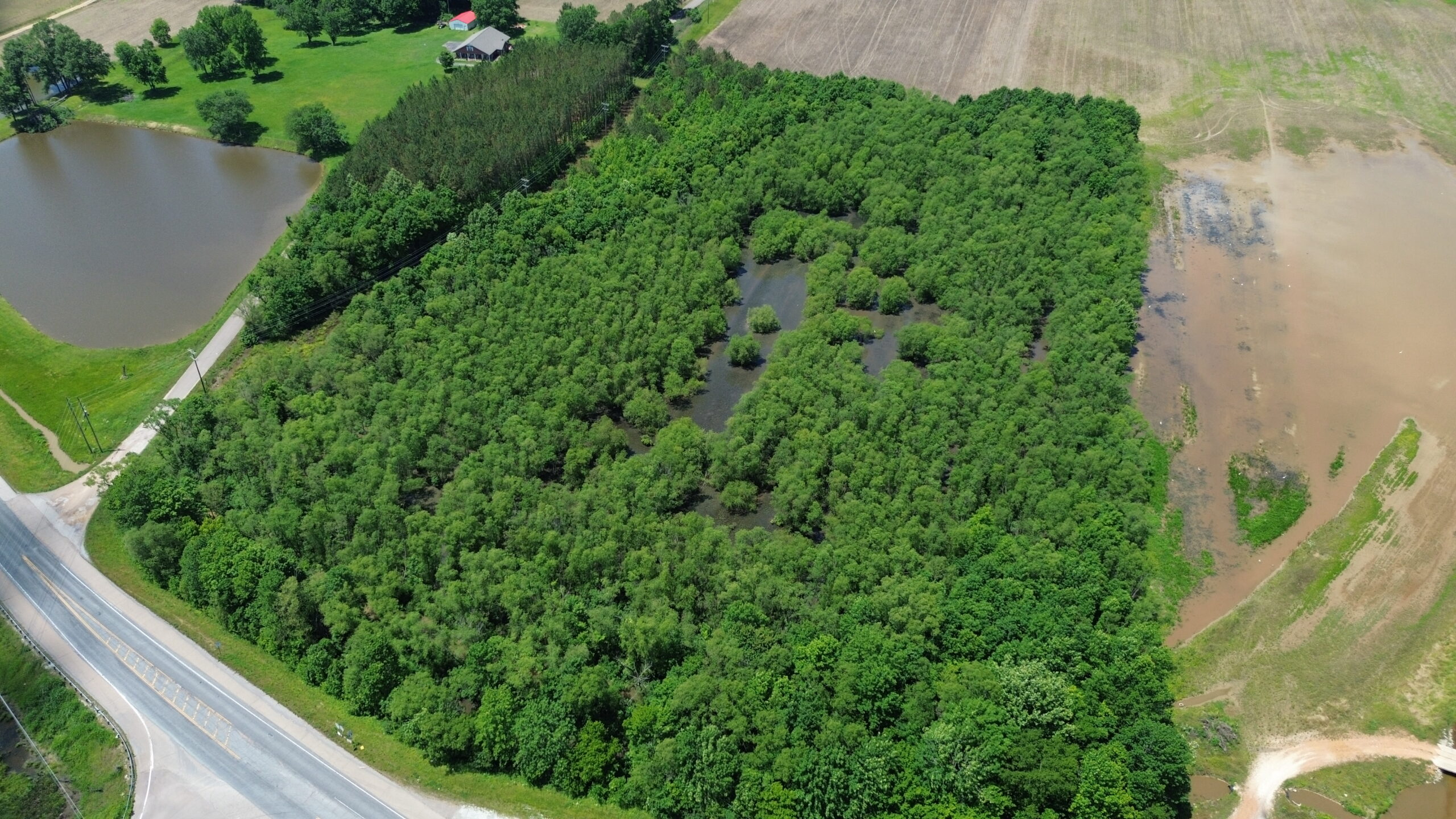 17 ACRES, WOODED, BUILDING SITE, CRP, HUNTING