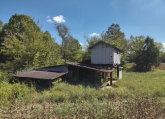 29.5 Acres of Land for Sale with Year Round Creek