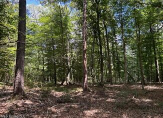 14+- Acre Homesite and Hunting Land for Sale Summit MS