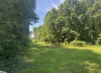 Hunting Property and Homesite in Jackson Parish LA