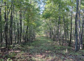 HUNTING CAMP FOR SALE IN TN. CABIN & STORAGE, 58 ACRES+/-