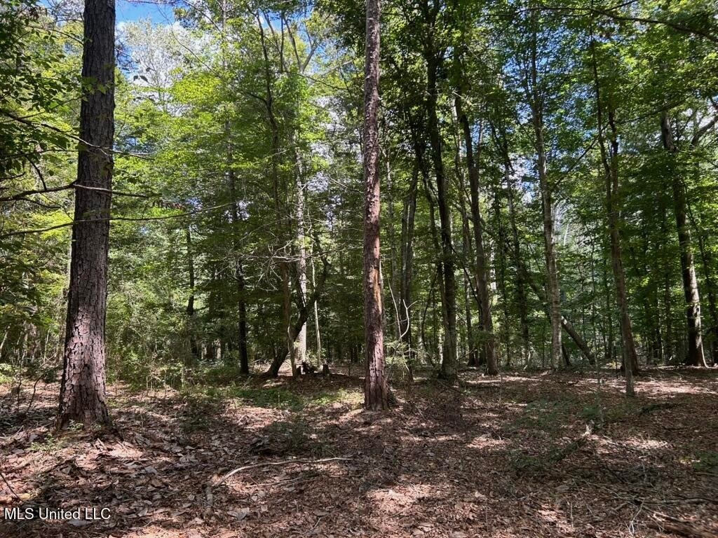 14+- Acre Homesite and Hunting Land for Sale Summit MS