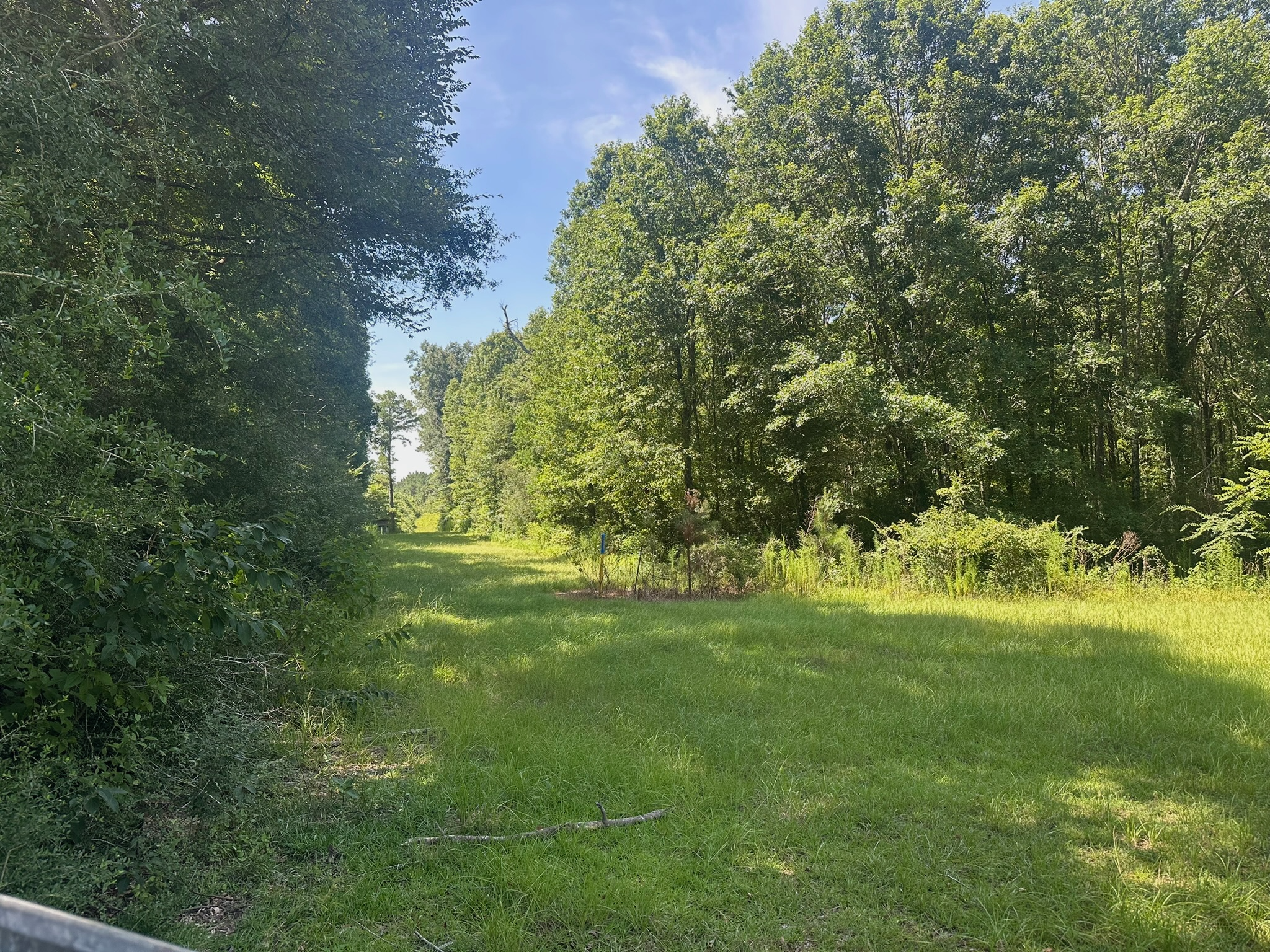 Hunting Property and Homesite in Jackson Parish LA