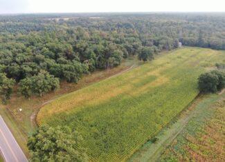 40 acres just north of Wisconsin Dells with abundant deer & turkey habitat