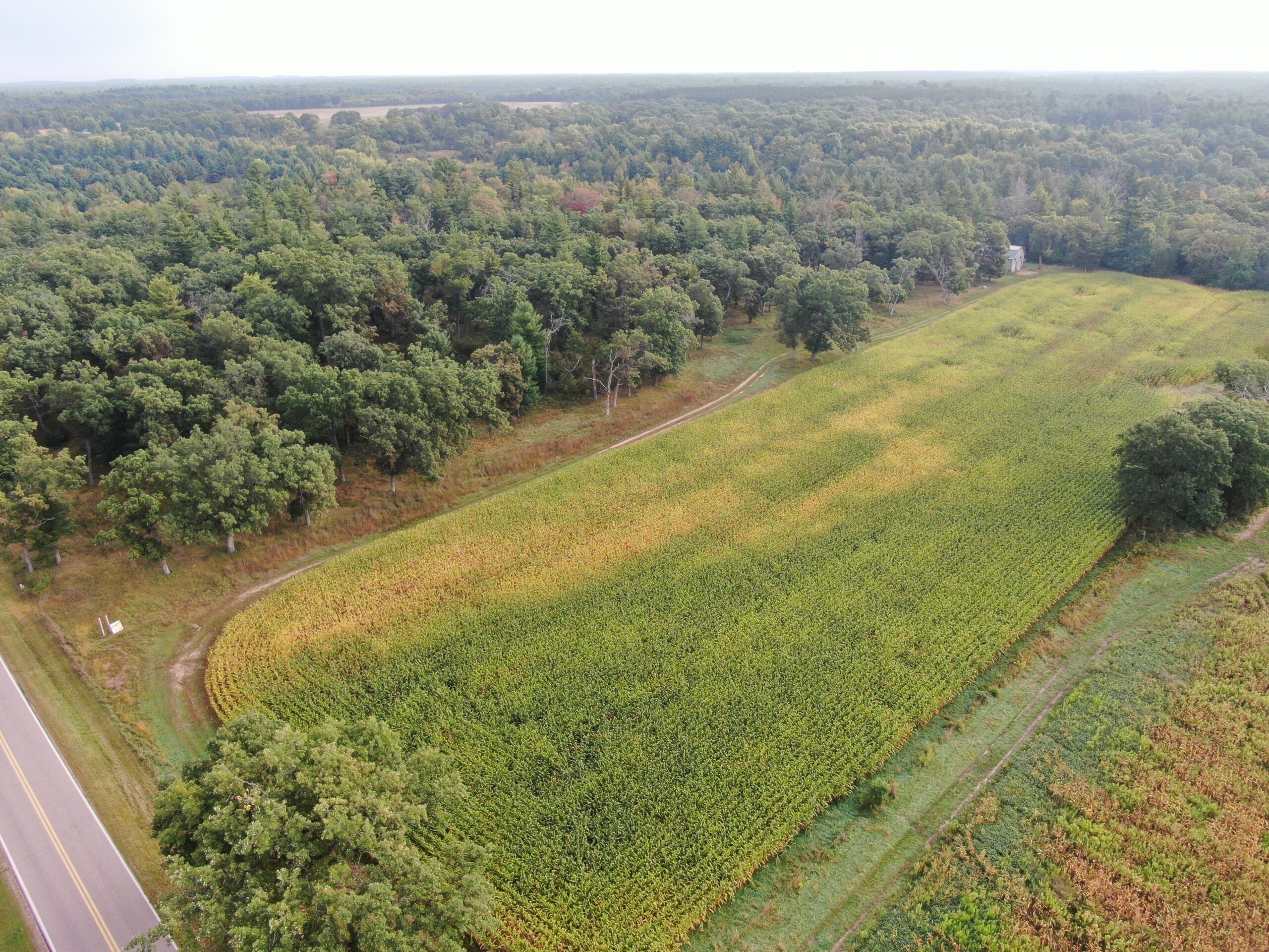 40 acres just north of Wisconsin Dells with abundant deer & turkey habitat