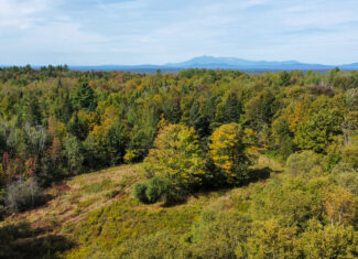 Off-Grid Log Home on 33.4 Acres