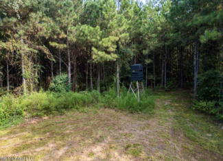 Hunting Land for Sale in Copiah County MS – Dixie Garden 46