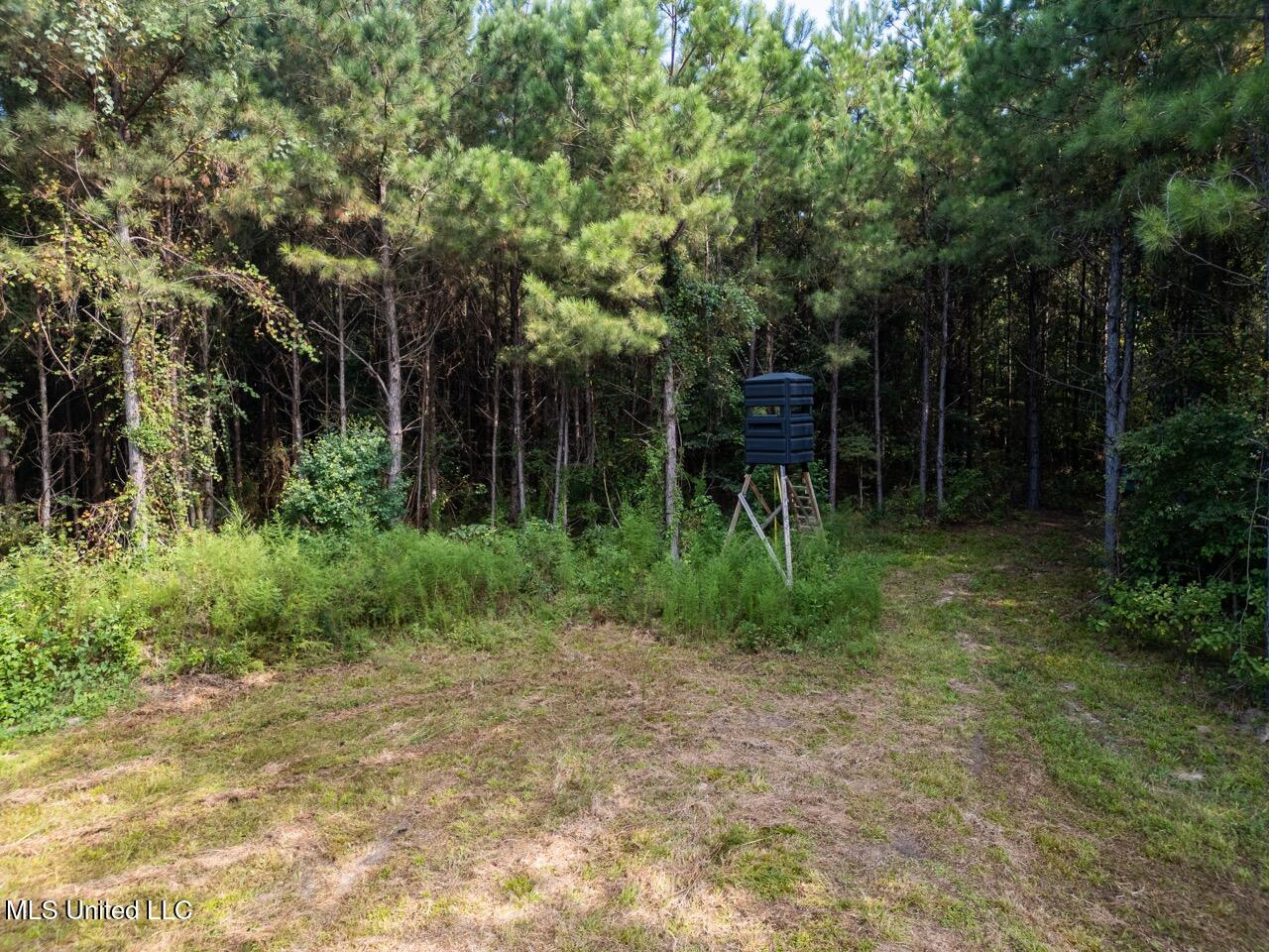 Hunting Land for Sale in Copiah County MS – Dixie Garden 46