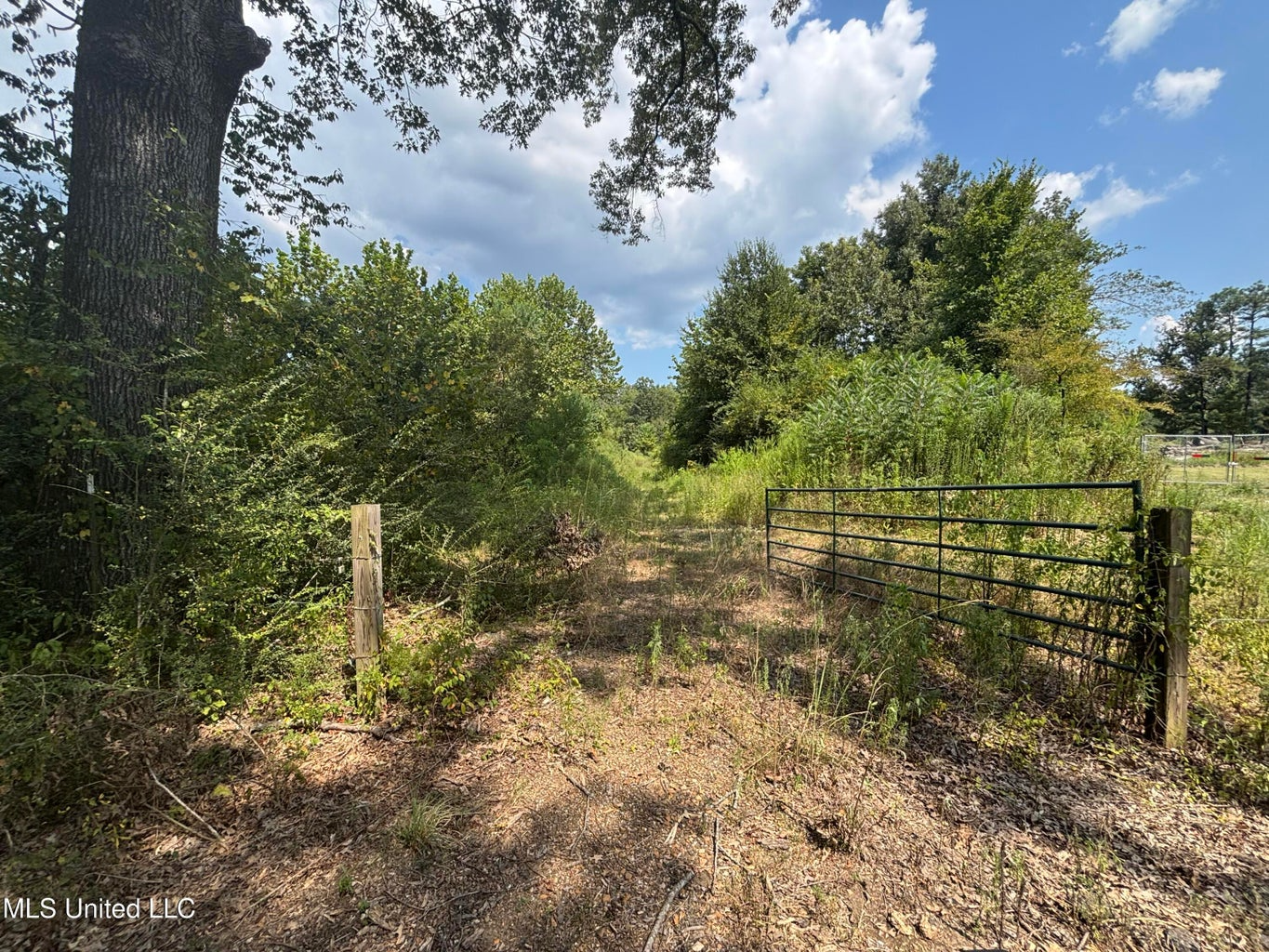88 Acres for Sale in Hinds County Jackson, MS