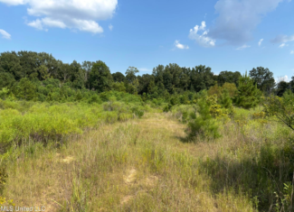 95 Acres for Sale in Hinds County Jackson, MS