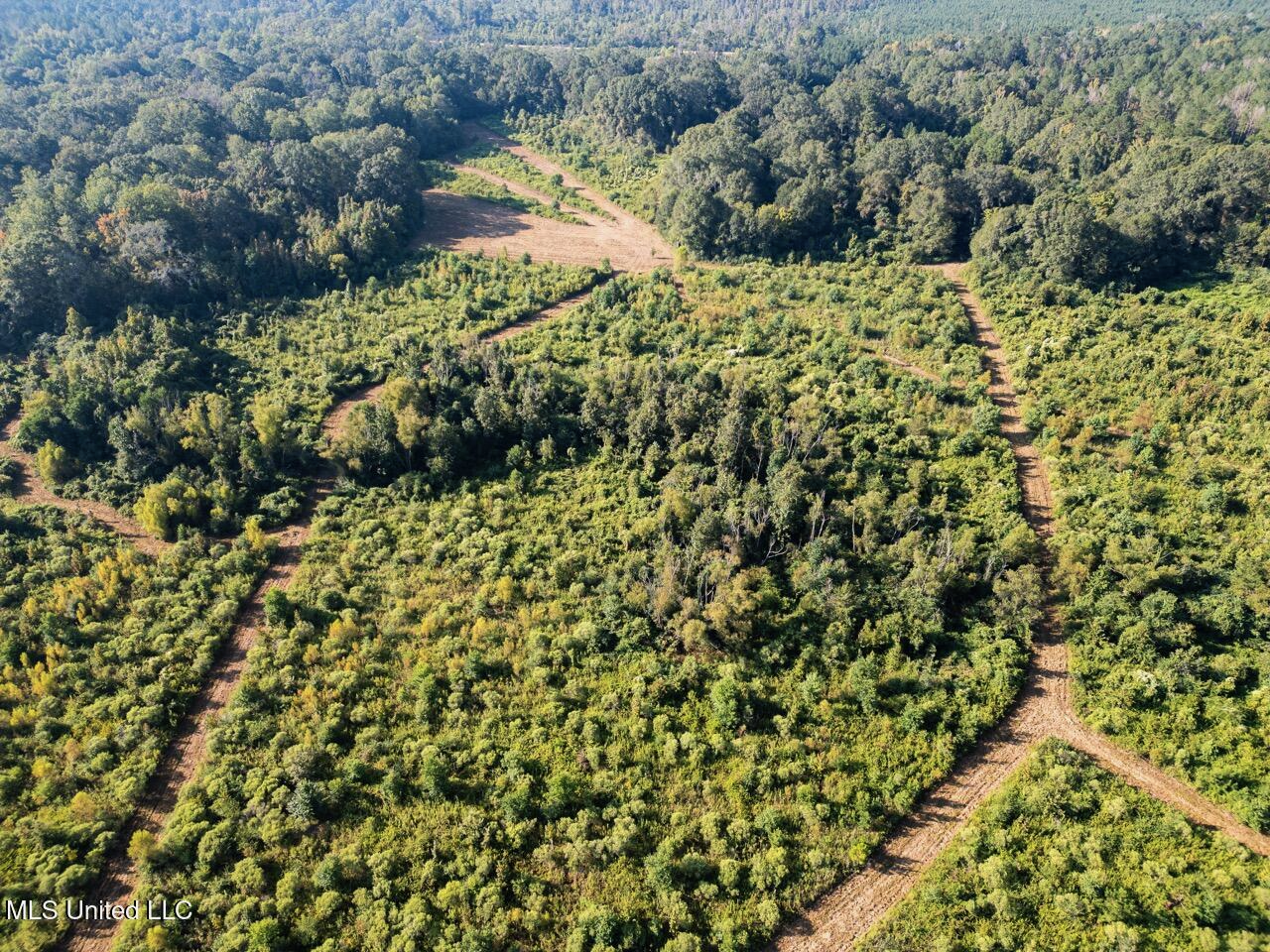 Cotton Creek 169 Acres for Sale in Amite County, MS