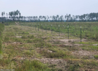 Land for Sale in Tangipahoa Parish, LA.