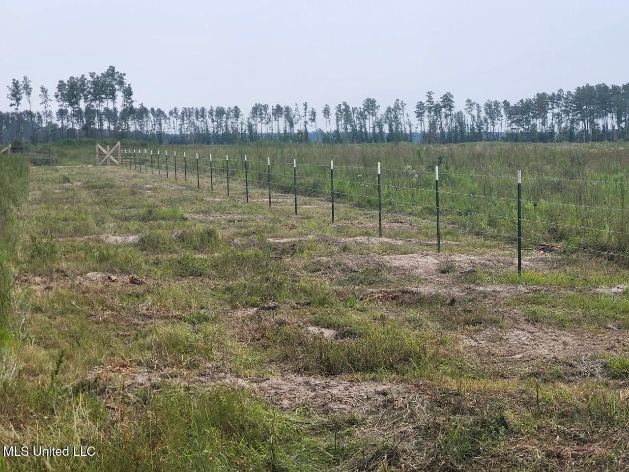 Land for Sale in Tangipahoa Parish, LA.