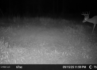 Ramsey Creek 67 Acres for Sale in Centreville, MS