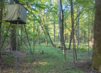 30 Acre Amite River Hunting Tract Amite County MS