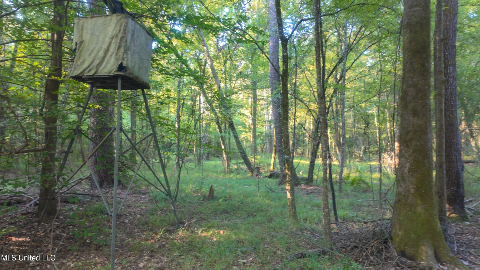 30 Acre Amite River Hunting Tract Amite County MS