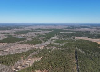 Duck, Deer, and Fishing Land for Sale on Little River