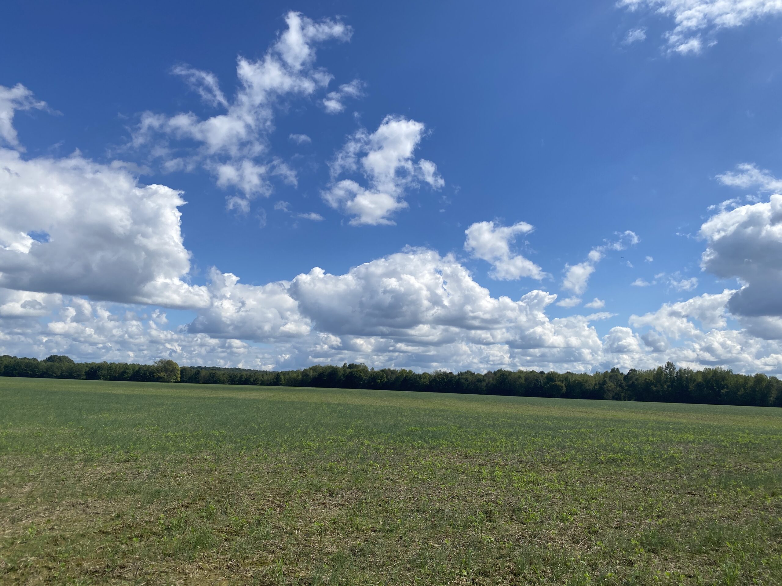 UNRESTRICTED LAND THAT HAS GREAT HUNTING THAT HAS BEEN USED AS FARM LAND